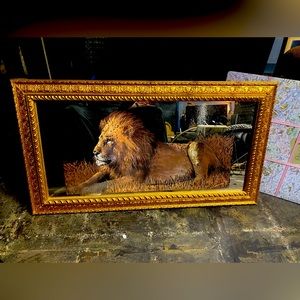 Vintage lion mirror large in great condition